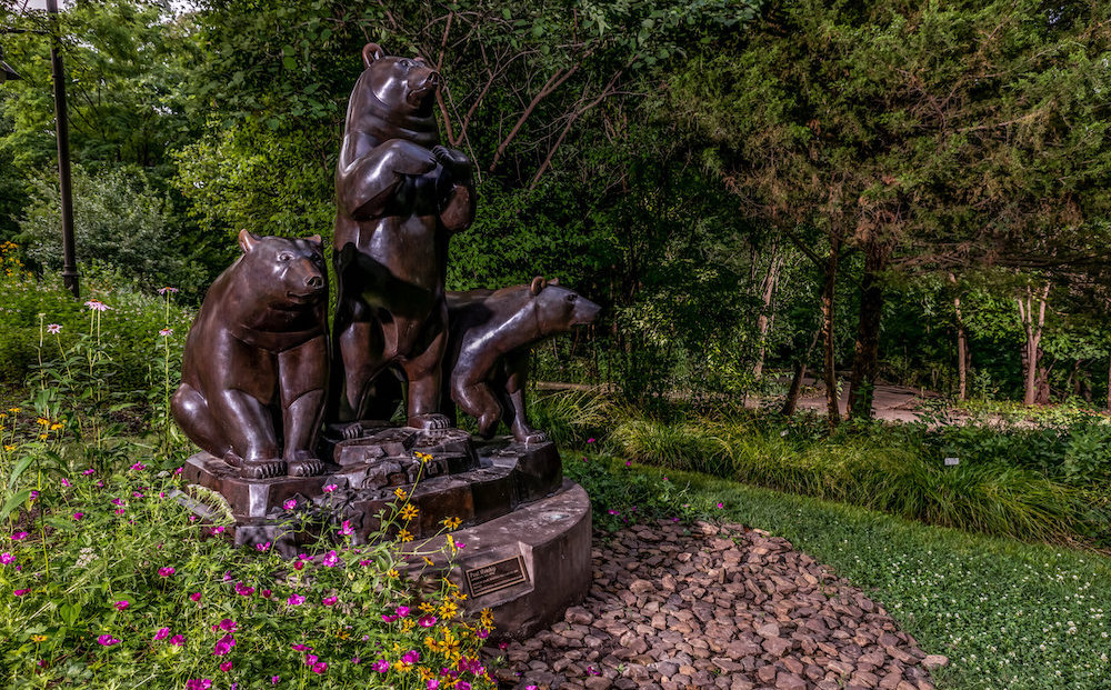 Group of Bears