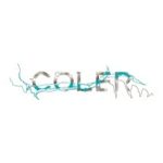 @colermountainbikepreserve