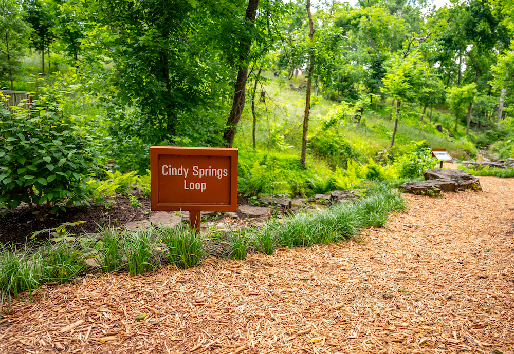 CindySpringsLoop