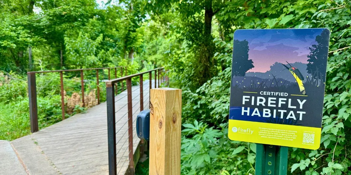 Firefly-Habitat-at-Coler-Preserve